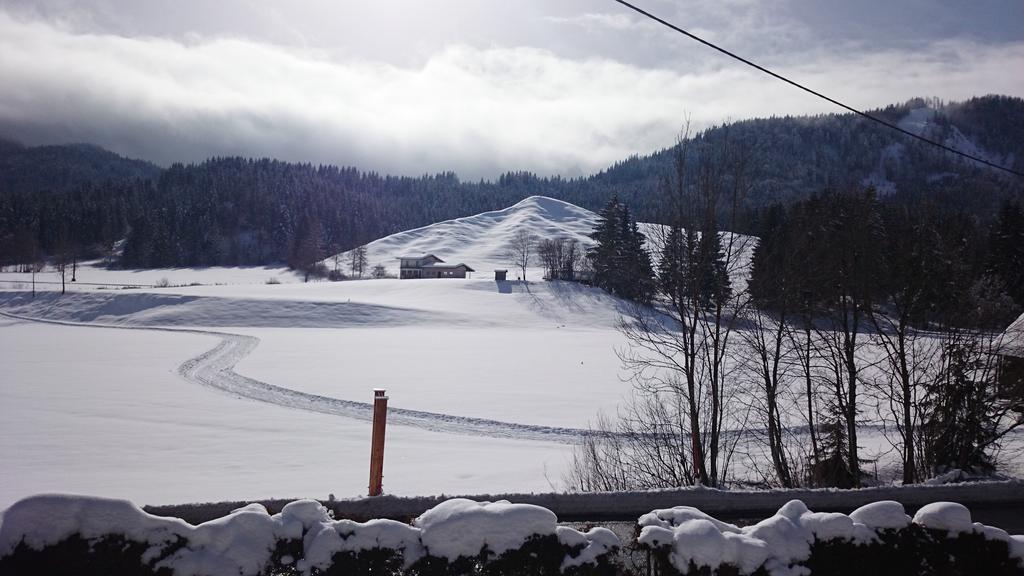Appartamento Haus Alpina Weissensee Esterno foto
